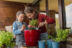 Two little sisters planting flowers together, a home gardening concept.