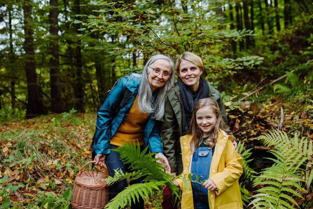 A small girl with mother and grandmother on walk outoors in forest, looking at camera.