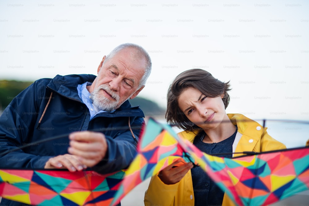 A senior man and his preteen granddaughter preparing kite for flying on sandy beach.