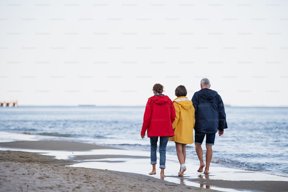 A rear view of senior couple holding hands with their preteen granddaughter and walking on sandy beach