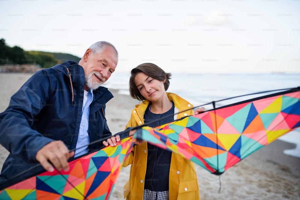 A senior man and his preteen granddaughter preparing kite for flying on sandy beach.