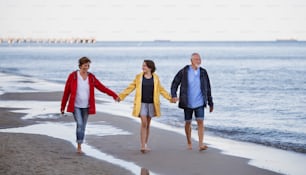 Una pareja mayor tomada de la mano con su nieta preadolescente y caminando por la playa de arena.