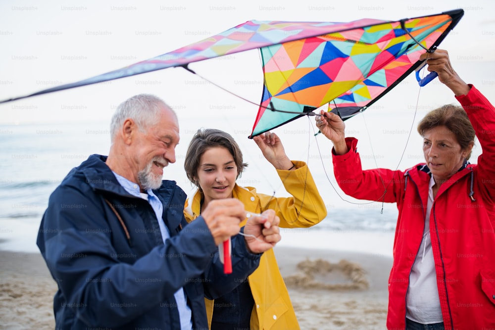 Grandparents with a preteen girl preparing kite for flying on sandy beach.