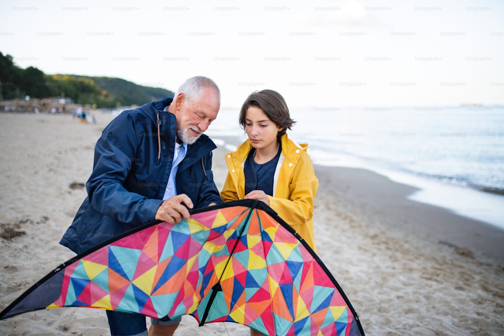 A senior man and his preteen granddaughter preparing kite for flying on sandy beach.