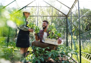 A happy young father with small daughter working outdoors in backyard, gardening and greenhouse concept.
