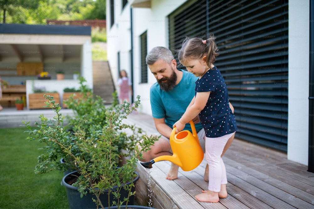 Un père et une petite fille à l’extérieur dans la cour arrière, arrosant les plantes.