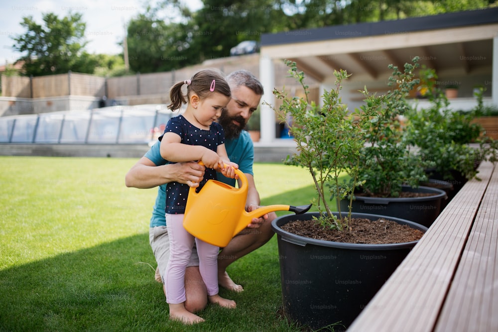 裏庭で屋外で植物に水をやる父と小さな娘。