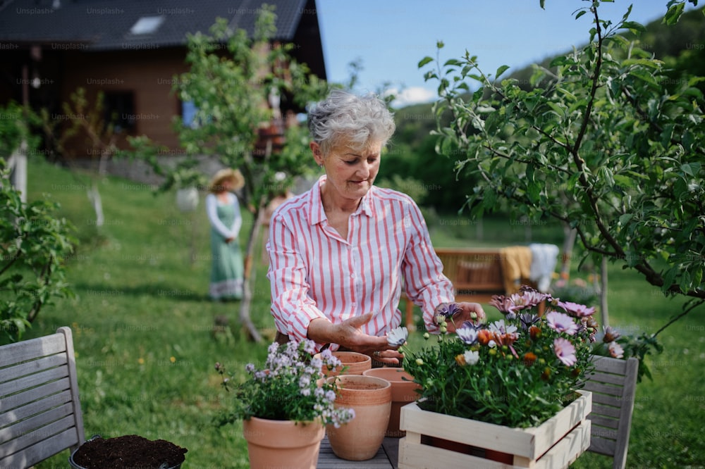 A senior woman florist planting flowers to pots outdoors in garden.