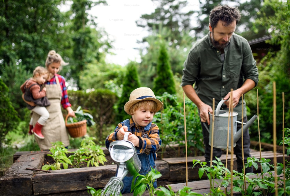 Glückliche Familie mit kleinen Kindern, die auf dem Bauernhof gärtnern und Bio-Gemüse anbauen.