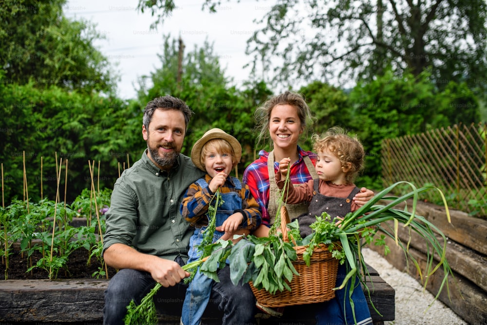 Glückliche Familie mit kleinen Kindern, die auf dem Bauernhof gärtnern und Bio-Gemüse anbauen.