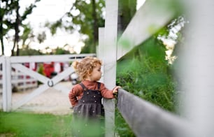 Seitenansicht eines kleinen Mädchens, das auf dem Bauernhof steht. Speicherplatz kopieren.