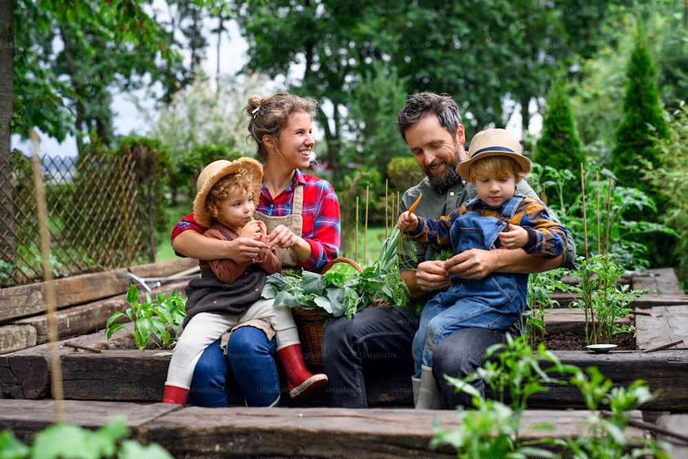 Família feliz com crianças pequenas jardinagem na fazenda, cultivando vegetais orgânicos.