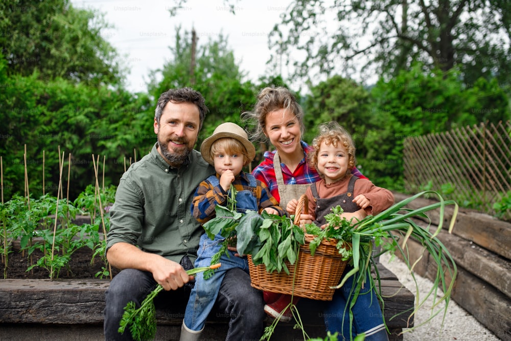 Famiglia felice con bambini piccoli giardinaggio in fattoria, coltivazione di verdure biologiche.