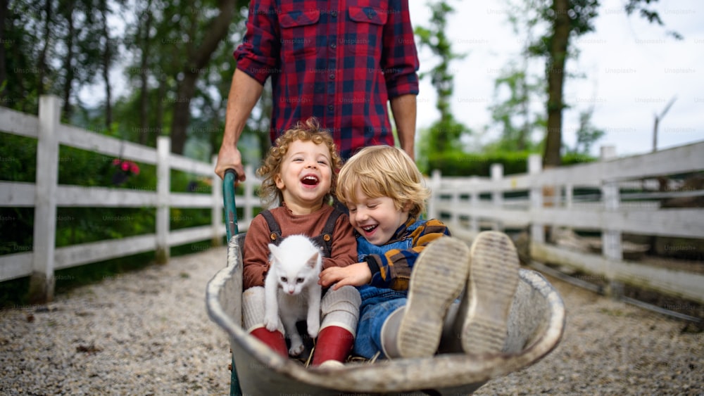 Padre irreconocible empujando alegres niños pequeños en carretilla en la granja.