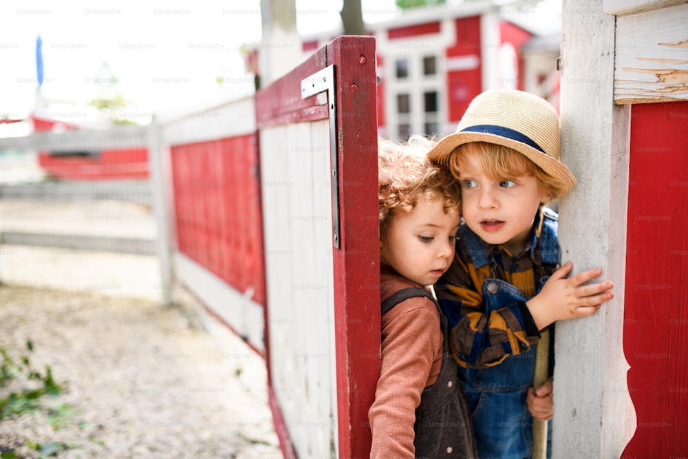 Porträt eines kleinen Jungen und eines kleinen Mädchens auf dem Bauernhof, das sich öffnende rot-weiße Tor.
