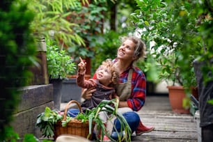Mère heureuse avec une petite fille jardinant à la ferme, cultivant des légumes biologiques.