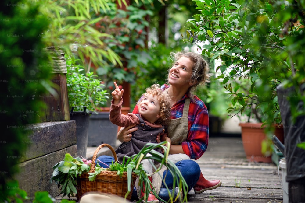 Glückliche Mutter mit kleiner Tochter, die auf dem Bauernhof gärtnert und Bio-Gemüse anbaut.