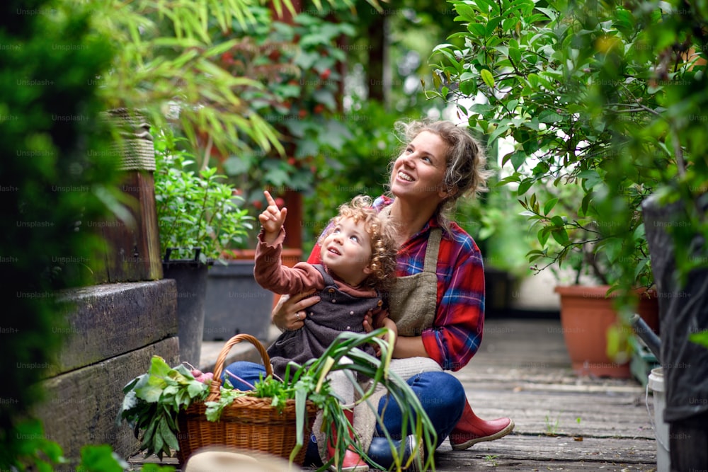 Happy mother with small daughter gardening on farm, growing organic vegetables.