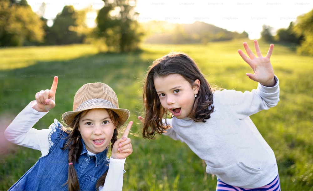 Front view portrait of two small girls standing outdoors in spring nature, having fun.