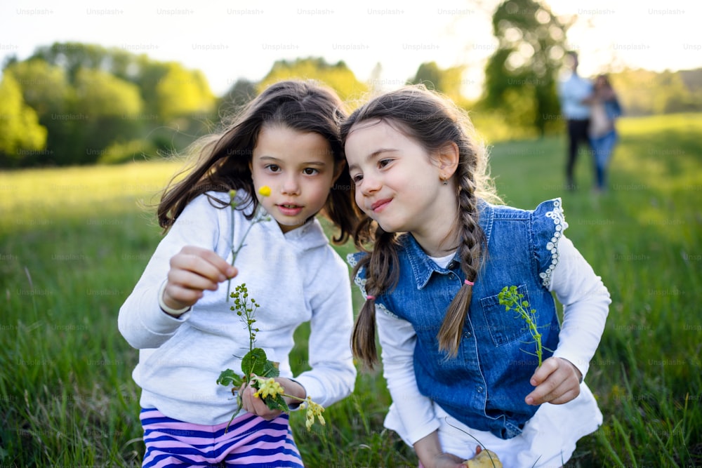 Vorderansicht Porträt von zwei kleinen Mädchen, die im Freien in der Frühlingsnatur stehen und Blumen pflücken.
