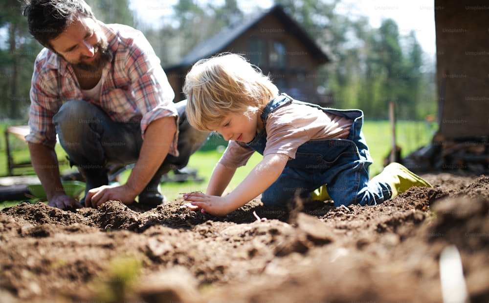 Père mûr avec un petit fils travaillant à l’extérieur dans le jardin, concept de style de vie durable.