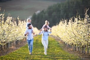 Front view of family with two small children walking outdoors in orchard in spring, piggyback ride.