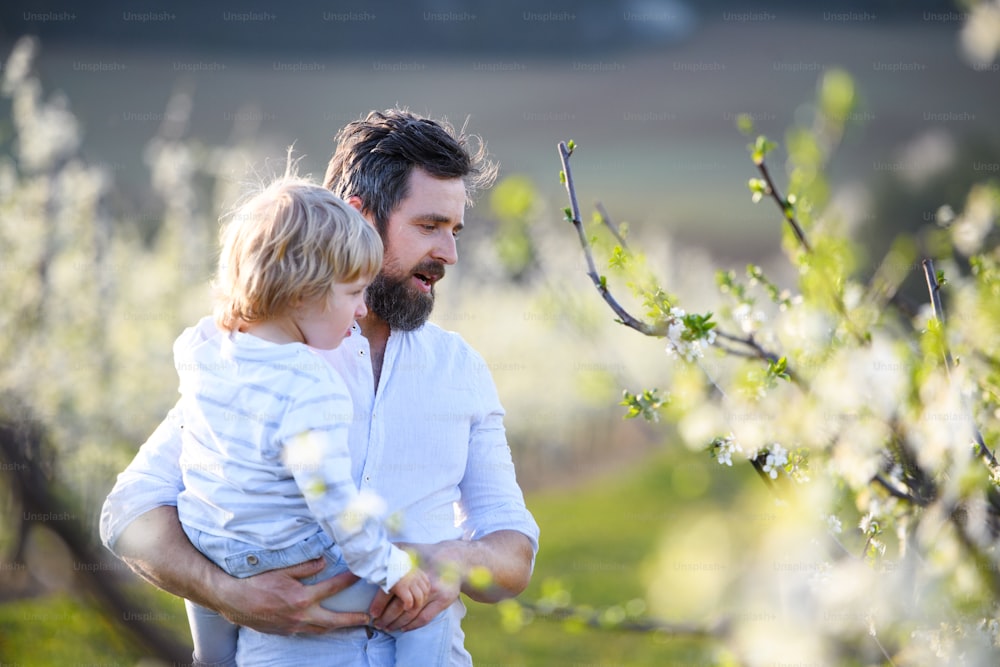 Side view of father with small son standing outdoors in orchard in spring. Copy space.