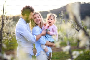 Vista frontal da família com a filha pequena em pé ao ar livre no pomar na primavera, rindo.