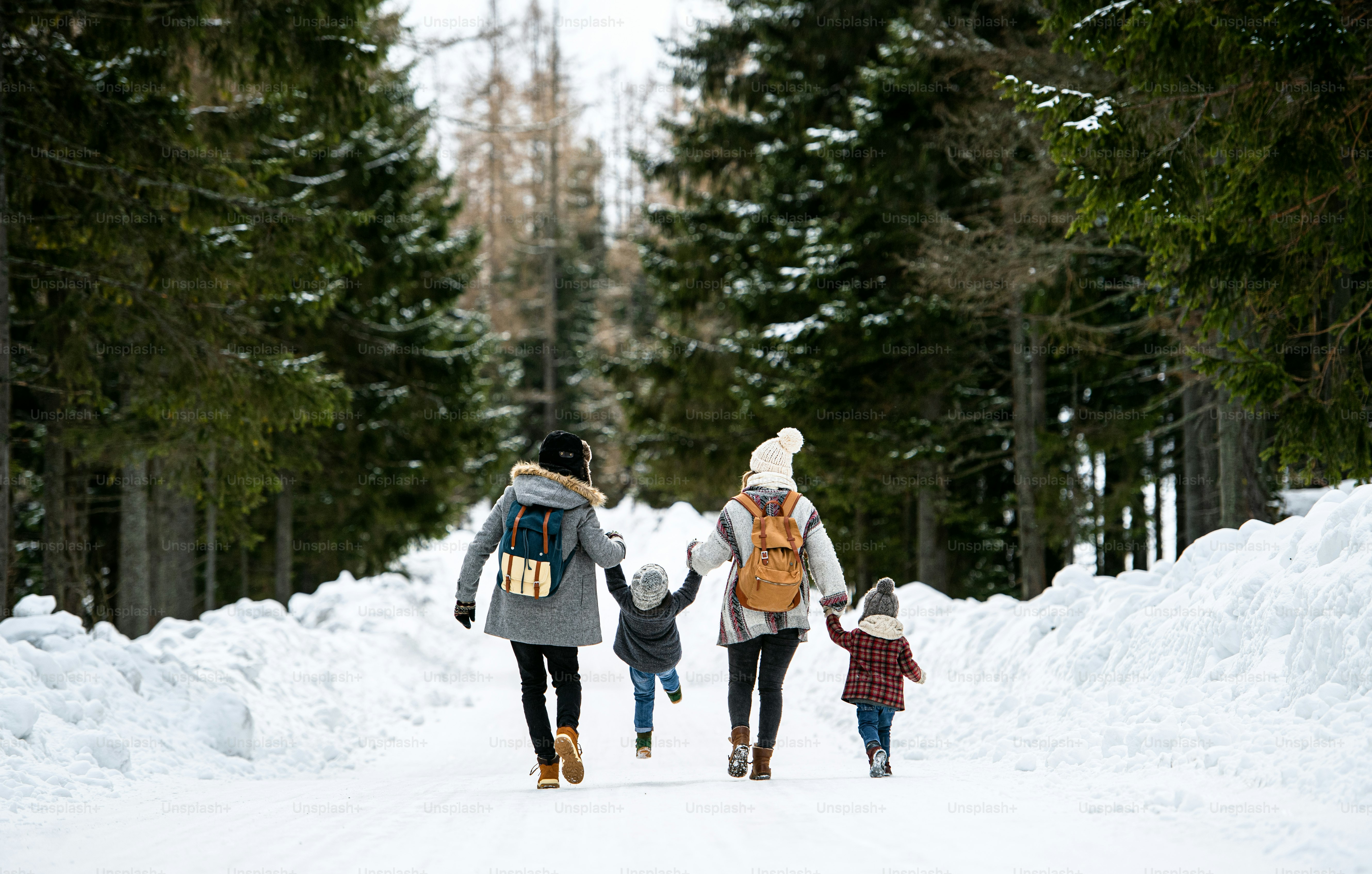 Vue arrière d’une famille avec deux jeunes enfants se tenant la main dans la nature hivernale, marchant dans la neige.