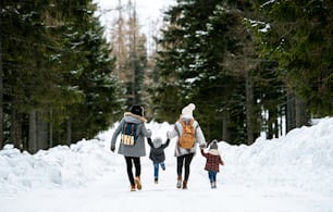 冬の自然の中で手をつないで雪の中を歩く2人の小さな子供を持つ家族の背面図。