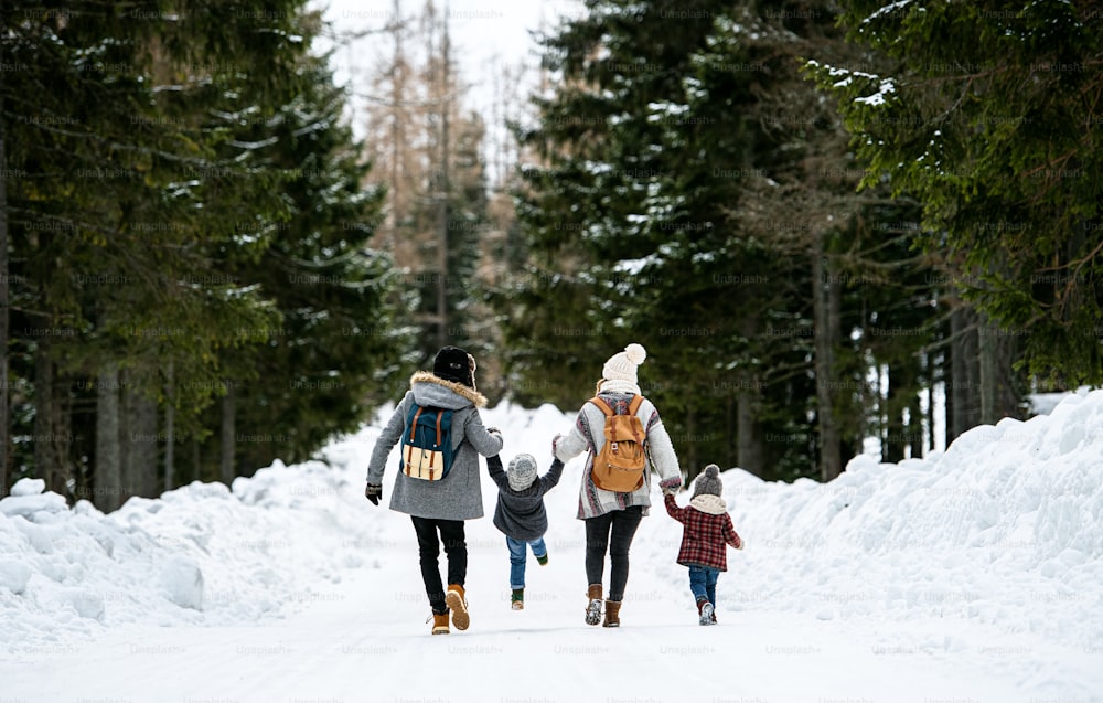 Rückansicht der Familie mit zwei kleinen Kindern, die Händchen halten, in der Winternatur, im Schnee spazieren gehen.