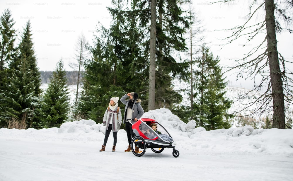 Padre e madre con due bambini piccoli seduti in roulotte, camminando nella neve nella natura invernale.