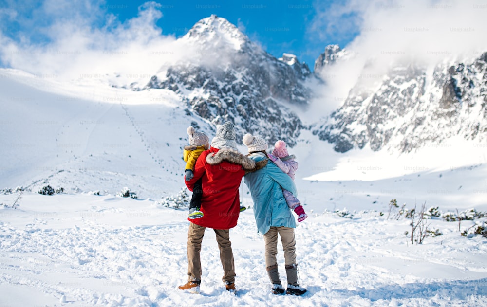 Retrato retrovisor de pai e mãe com dois filhos pequenos na natureza do inverno, andando na neve.