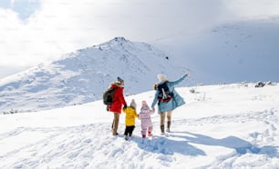 Rear view of happy family with two small children in winter nature, walking in the snow.