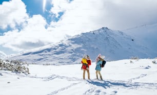 雪の中に立つ冬の自然の中で、2人の小さな子供を持つ父と母の正面図のポートレート。