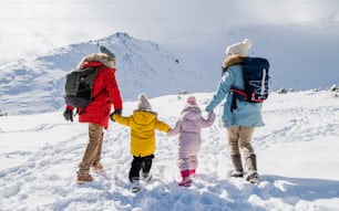 Retrato retrovisor de pai e mãe com dois filhos pequenos na natureza do inverno, andando na neve.