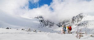 Retrato da vista frontal do pai e da mãe com duas crianças pequenas na natureza do inverno, brincando na neve.