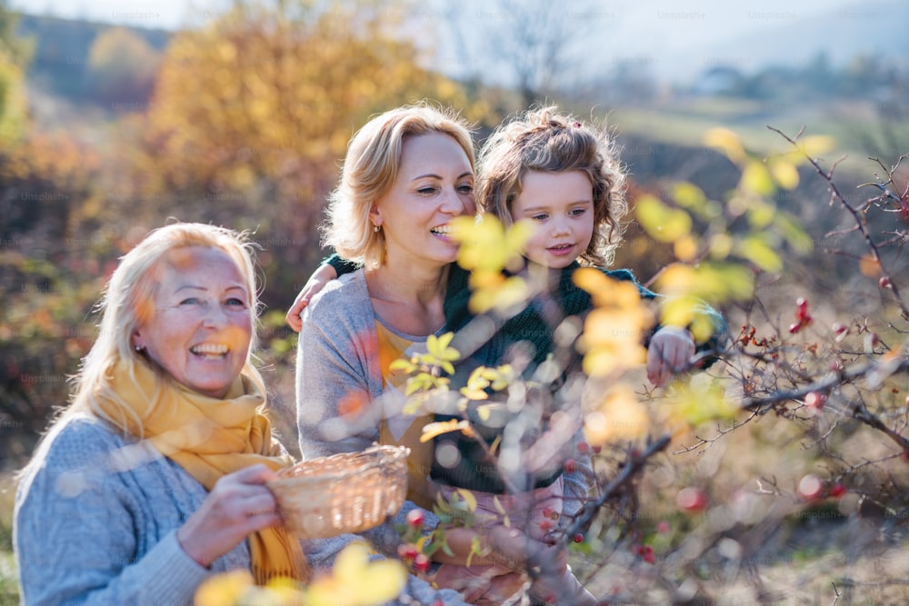 秋の自然の中でローズヒップフルーツを集める母親と祖母を持つ幸せな小さな女の子。