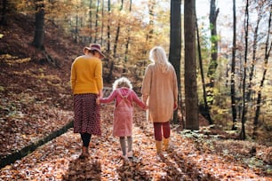 Rear view of small girl with mother and grandmother on a walk in autumn forest, holding hands.