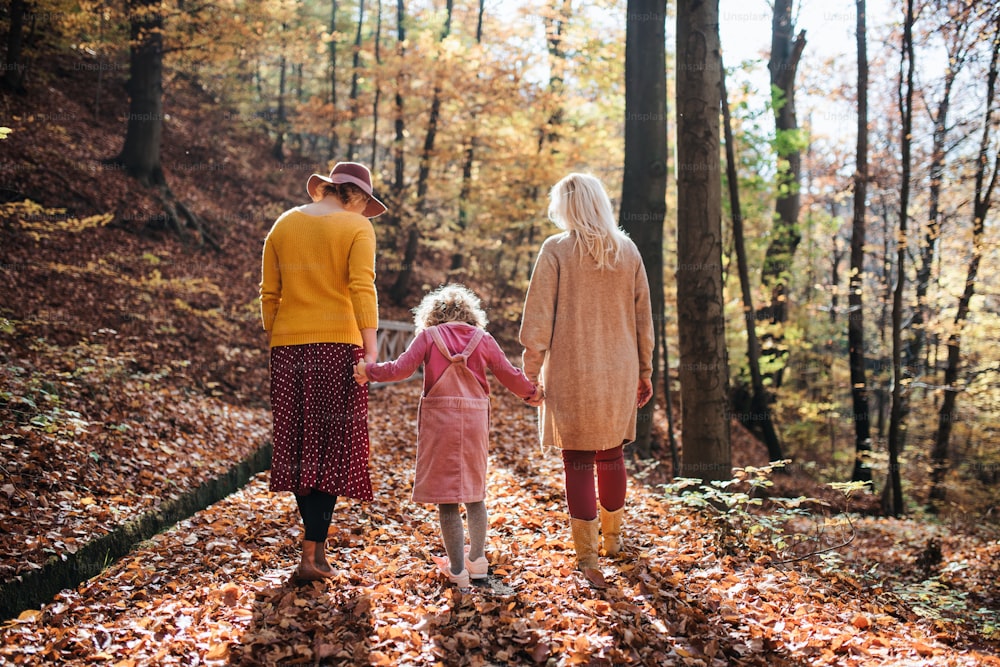 Rear view of small girl with mother and grandmother on a walk in autumn forest, holding hands.