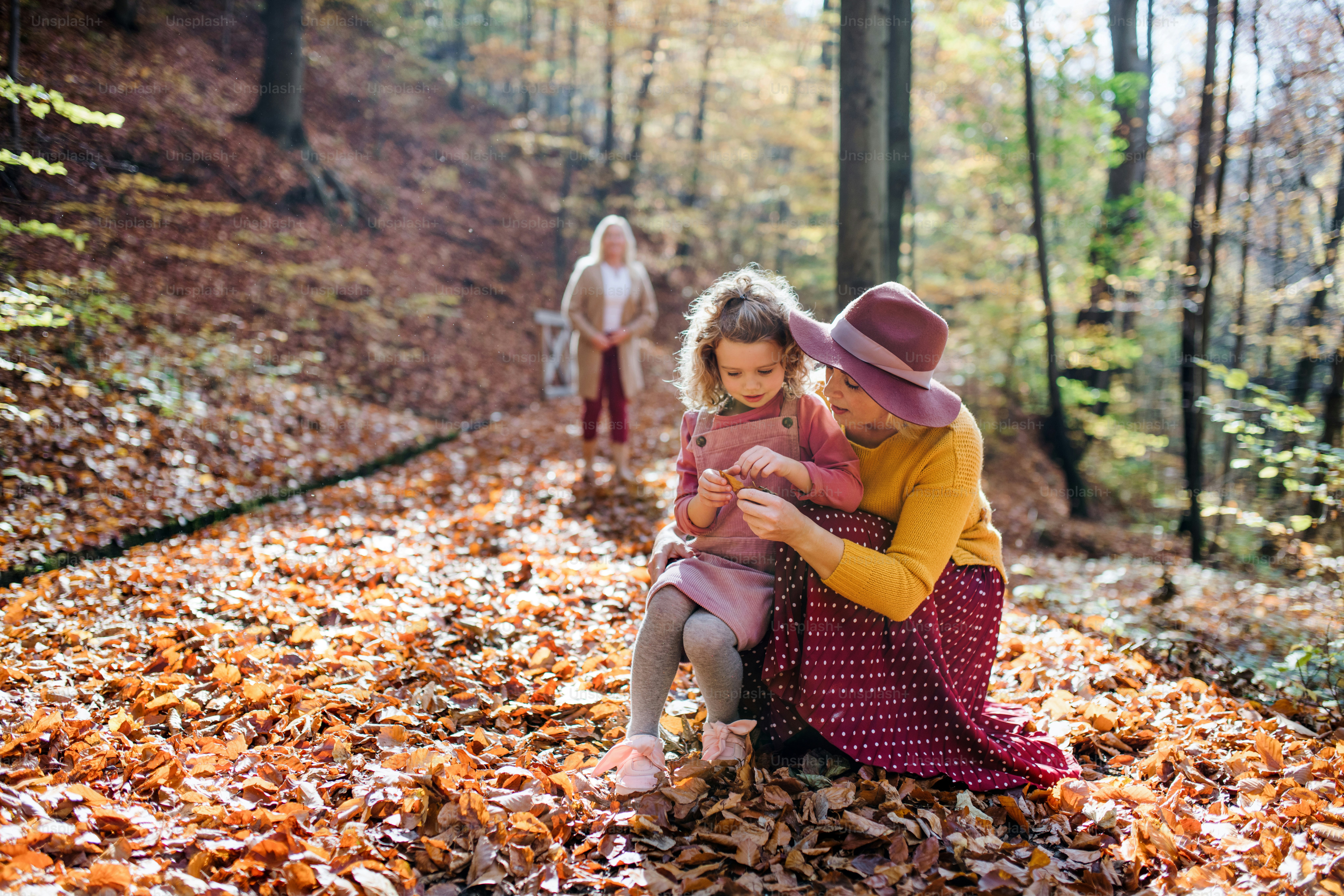 Front view of young family with small children and dog on a walk in ...