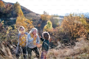 Happy small girl with mother and grandmother collecting rosehip fruit in autumn nature.
