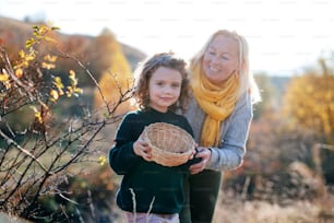 秋の自然の中でローズヒップフルーツを集める祖母を持つ幸せな小さな女の子。