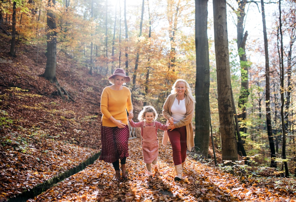 秋の森を散歩する母親と祖母を持つ小さな女の子が走っている。