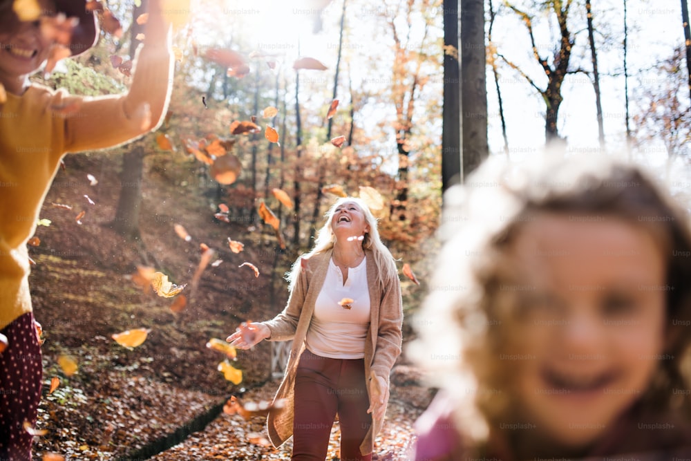Glückliches kleines Mädchen mit Mutter und Großmutter bei einem Spaziergang im Herbstwald, Mittelteil.