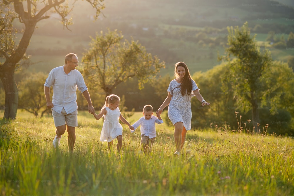 Happy young family with two small children walking on meadow outdoors at sunset.