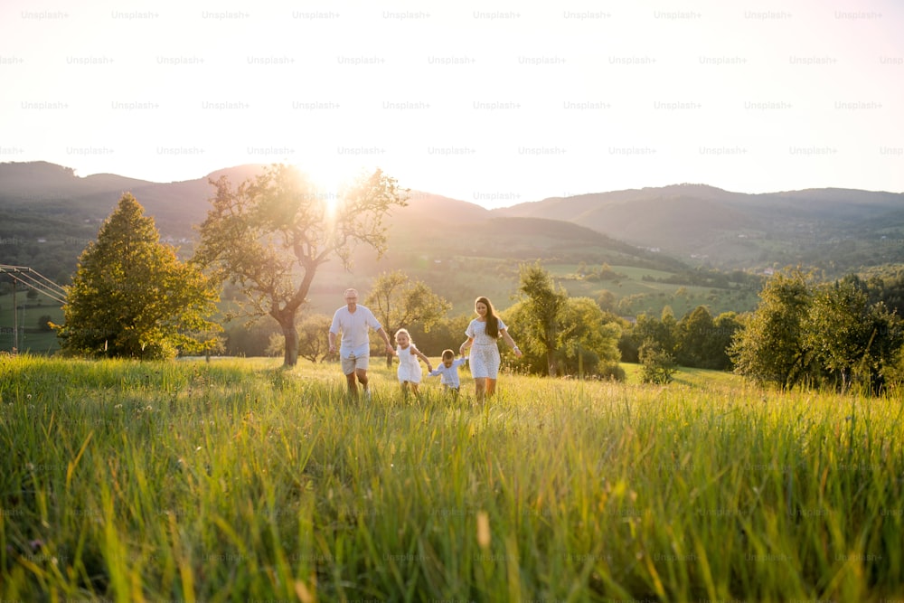 Familia joven y feliz con dos niños pequeños caminando por el prado al aire libre al atardecer.