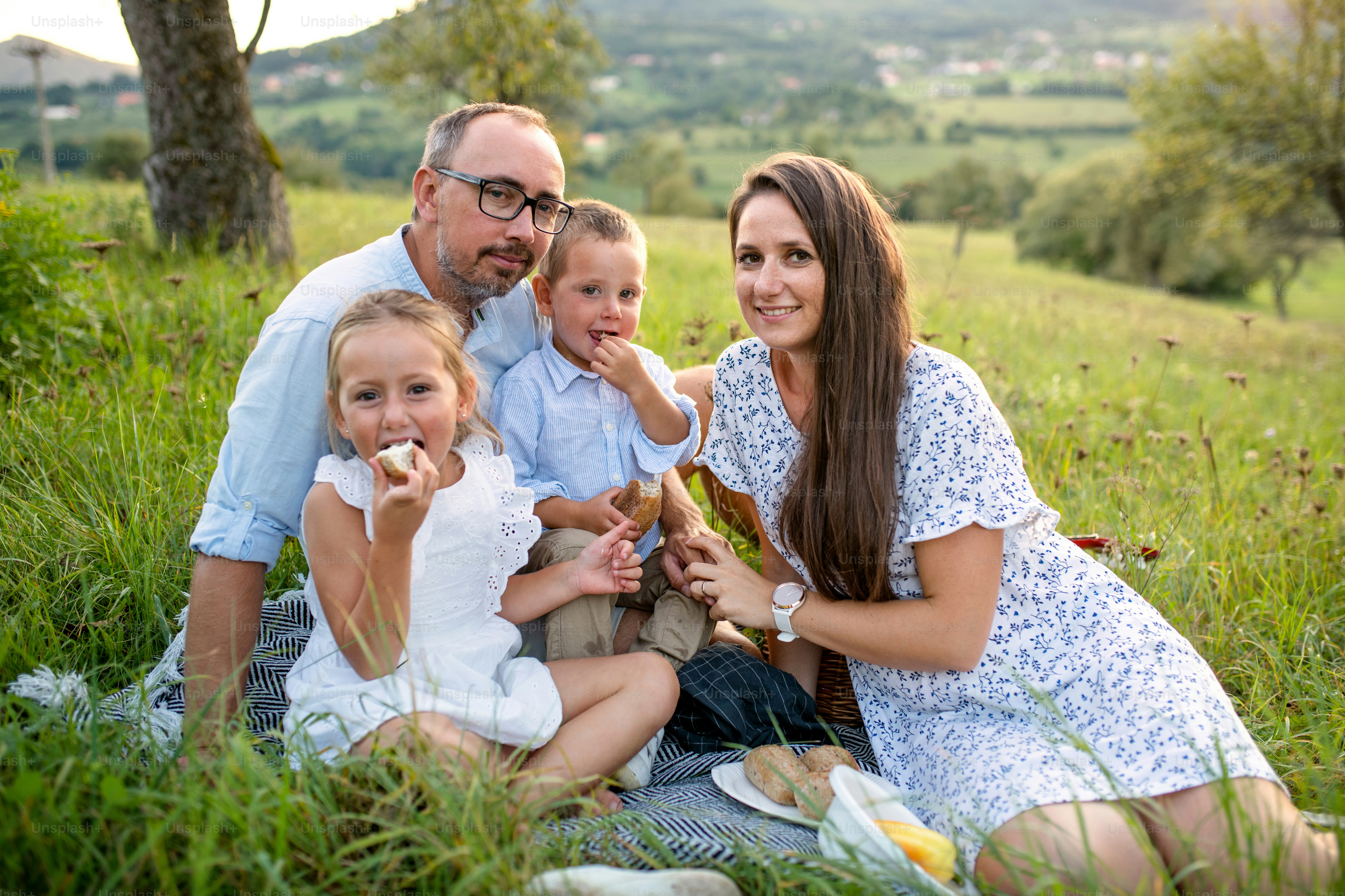 A young family with two small children on meadow outdoors, having picnic.