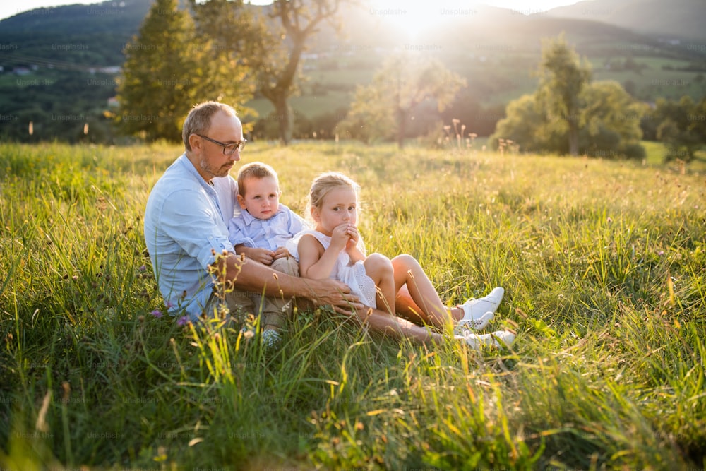 Happy young father with two small children sitting on meadow outdoors at sunset.