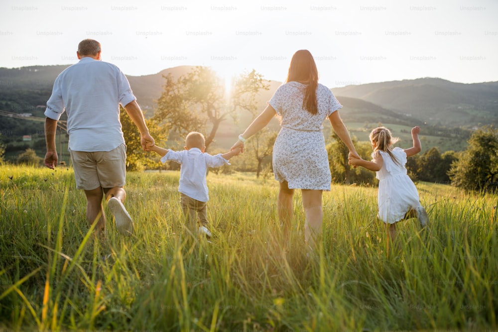 Una vista trasera de la familia con dos niños pequeños caminando por el prado al aire libre al atardecer.